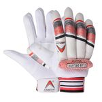 ArrowMax Cricket Batting Gloves for Men Boys Youth Right Handers Stylish & Attractive Design, Comfortable Grip (CLUBDELUX) (BOY)