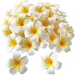 SHIVAMKRAFT 12 Pieces Artificial White Fake Foam Hawaii Frangipani Beach Floating Flowers (White, 12 Pieces)