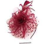 Pratiharye Present Fascinator Hats Flower Mesh Ribbons Feathers on a Headband and a Clip Tea Party Headwear for Girls and Women Pillbox hat