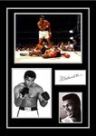 Stunning Quality Muhammad ALI Signe