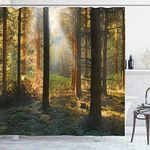 ABAKUHAUS Forest Shower Curtain, Sunset View of Dark Pine Woodland in Autumn Foggy Scene Sunbeams Trunks Shadow, Cloth Fabric Bathroom Decor Set with Hooks, 78 Inches, Orange Green