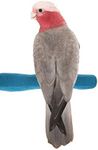 Sweet Feet and Beak Comfort Grip Safety Perch for Bird Cages - Pedicure Perch for Birds to Keep Nails and Beaks in Top Condition - Safe Easy to Install Bird Cage Accessories - M 8.5"