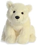 Aurora - Destination - 12" Polar Be
