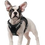 rabbitgoo Dog Harness No Pull, Military Dog Harness Small Breed with Handle & Molle, Easy Control Service Dog Vest Harness Training Walking, Adjustable Reflective Tactical Pet Harness, Black, S