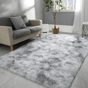 Shag Rugs 