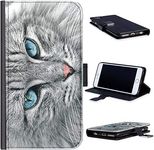 Hairyworm - Grey cat with blue eyes Apple Iphone 5c leather side flip wallet phone case, phone cover with card slots, money slot, stand point and magnetic clasp to close for Apple Iphone 5c