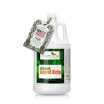 Seaweed Fertilizer - Omri Organic Liquid Fertilizer for Seedlings (1 Gallon) - Liquid Kelp & Vegetable Growth Concentrate for Gardens, Lawns & Soil