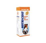 Pawsitively Pet Care Nutricoat Nutritional Coat And Skin Conditioner For Dogs And Cats - 400 Gm