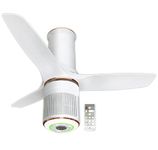 Havells Stealth Puro Air 1250mm Ceiling Fan with Air Purifier & Remote Control (Peral White LT Copper, Pack of 1) (FHCBBULPLC48)