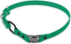 Educator Quick Snap Bungee Dog Collar, Biothane, Waterproof, Odorproof, Easy Connect and Disconnect Clasp and D Ring with Comfort Bungee Loop, Adjustable for Custom Fit, 1-Inch, Green