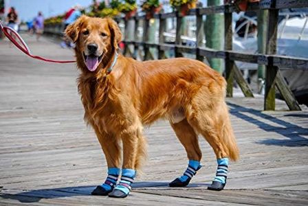 Bark Brite