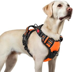 rabbitgoo Hundegeschirr Grosse Hunde, Verstellbare Geschirr Hund ohne Zug & Würgen, Anti Zug Hundegeschirr mit Griff, weich Gepolsterte Reflektierende Brustgeschirr, Orange L