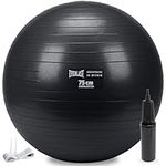 Everlast Anti-Burst Weighted Stability Ball 75CM