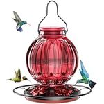 Glass Hummingbird Feeder for Outdoo
