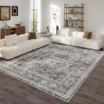 Rugcomf Area Rug 5x7 Washable Rug B