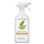 Bathroom Cleaner For Mold