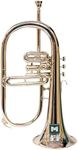 Flugel Horn 3 Valve, BB Pitch, Premium Brass Quality Including Mouthpiece & Carrying Case, Glove, (SILVER)