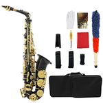 Btuty Eb E-Flat Alto Saxophone Brass Engraved Sax Abalone Shell Buttons Wind Instrument with Case Gloves Cleaning Cloth Belt Brush