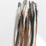 Feather Hair Extension – Natural Be