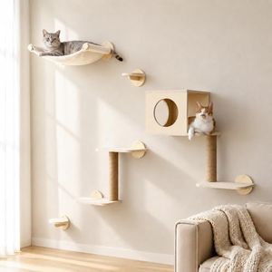 FUKUMARU C