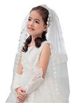 Shop Ginger Girls 2T White Holy First Communion Veil Tiara Lace Edge (No Tiara)