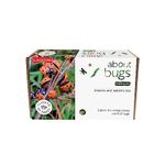 Flights of Fancy 85800 Bugs Nature Kit, Brown, White