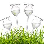 ZENFUN 4 Pcs Plant Waterer Bulbs Self Watering Globe Stake, Hand Blown Clear Glass Plant Water Drippers, Automatic Irrigation Planter Insert for Rose Flowers, Indoor and Outdoor Plants