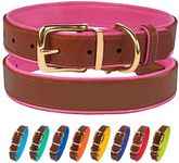 CollarDirect Leather Dog Collar Brass Buckle Soft Padded Puppy Small Medium Large Red Pink Blue Green Purple Yellow (Neck Fit 12"-14", Pink)