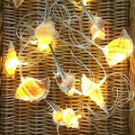 HDNICEZM Natural Conch LED String Lights, 10 Ft 10 LED Battery Powered Waterproof Low Heat Silver Copper Wire Beach Theme Fairy Lights for Indoor Outdoor Decoration Projects (Warm White, Timer).