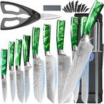 XYJ Authentic Since1986,Professional Knife Sets for Master Chefs,Knife Set with Bag,Case, Scissors,Culinary Kitchen Butcher Knives,Cooking Cutting,Damascus Laser Pattern (Green)