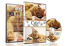 Family Cat DVD - Cat TV - Entertain