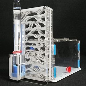 T Design Bricolage avec Aire de nid pour Fourmis, fourmilière Acrylique, Fourmis Insectes, Villa Mania pour Animaux domestiques pour Fourmis domestiques (White)