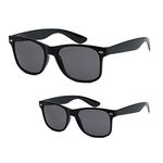 Wayfarer Sunglasses With Flexes