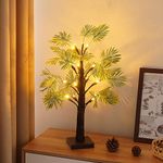 MEDOYOH 16LEDS Palm Tree Light, 55cm/21.65in Height Warmwhite Palm Leaf Table Light Up Tree, AA Battery Included/USB Powered Tree Lamp Indoor for Christmas Home Party Wedding Coffee Shop Decor