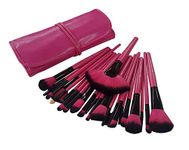 Puna Store 24 Piece Professional Synthetic Makeup Brush Set with Storage Pouch Pink). Cruelty Free Vegan Brushes Kabuki Foundation, Eye Shadow Blending, Face Pack Contouring, Highlighting