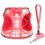 JdotMIN Plaid Dog Harness and Leash Set, Extra Small to Small Dog and Cat Vest Harness No Pull, Escape Proof, for Walking Puppy and Kitten, for Travel and Car, Harnais Pour Chien (Pink, XS)