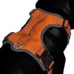 Heads Up For Tails Active Pet Dog Harness - Orange - Large