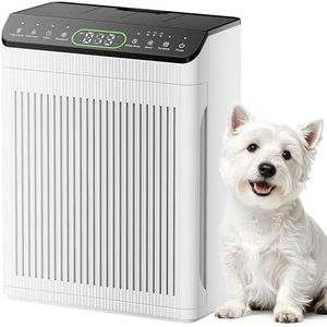 Air Purifi