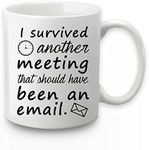 Email Mug I Survived Another Meetin