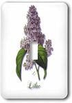 3dRose lsp_171228_1 Lilac, Botanical Print of a Lavender Spring Blooming Fragrant Flower Light Switch Cover