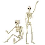 2 Packs 60cm Posable Halloween Skeletons, Movable Joints skeleton Halloween Decoration by Taspire