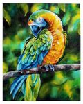 Whattacraft Paint by Numbers for Kids and Adults | Premium Painting Kit in Gift Tube Packaging| Rolled Canvas | Do-it-Yourself Wall Decor | DIY |Parrot On A Tree