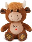Personalized Highland Cow Stuffed Animal, Farm Cattle Plushie with Custom Name Date Message, Cute Scottish Highland Cows Gift for Baby Kids Adults Women (Brown Cow, 11 Inch)