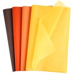 CHRORINE 60 Sheets Tissue Paper Autumn Wrapping Pape Bulk Assorted Color Art Paper Crafts for Thanksgiving Harvest Birthday Party DIY and Craft Decor