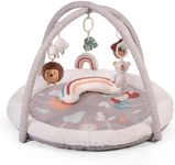 Red Kite Play Gym - Padded Play Gym