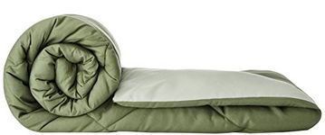 Amazon Brand - Solimo Microfibre Reversible Comforter, Single (Mossy Green & Pistachio Green, 300 GSM)