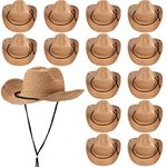 15 Pcs Straw Cowboy Hat Party Hat Panama Sun Hat Beach Hat for Travel Gardening Party Activities Horseback Riding Music Festival Hiking Mountain Climbing