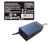 3 Amps Smart Charger Compatible wit