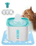 Water System For Cats