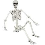 5.4ft Halloween Posable Skeleton Realistic Life Size Human Skeleton Bones with Movable Joints for Halloween Haunted House Indoor Outdoor Décor